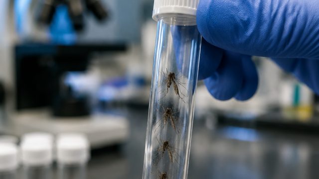 Health Officials Warn of West Nile Virus in Williamson Count