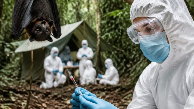 Unraveling the Origins of the Ebola Virus: What We Know Now 